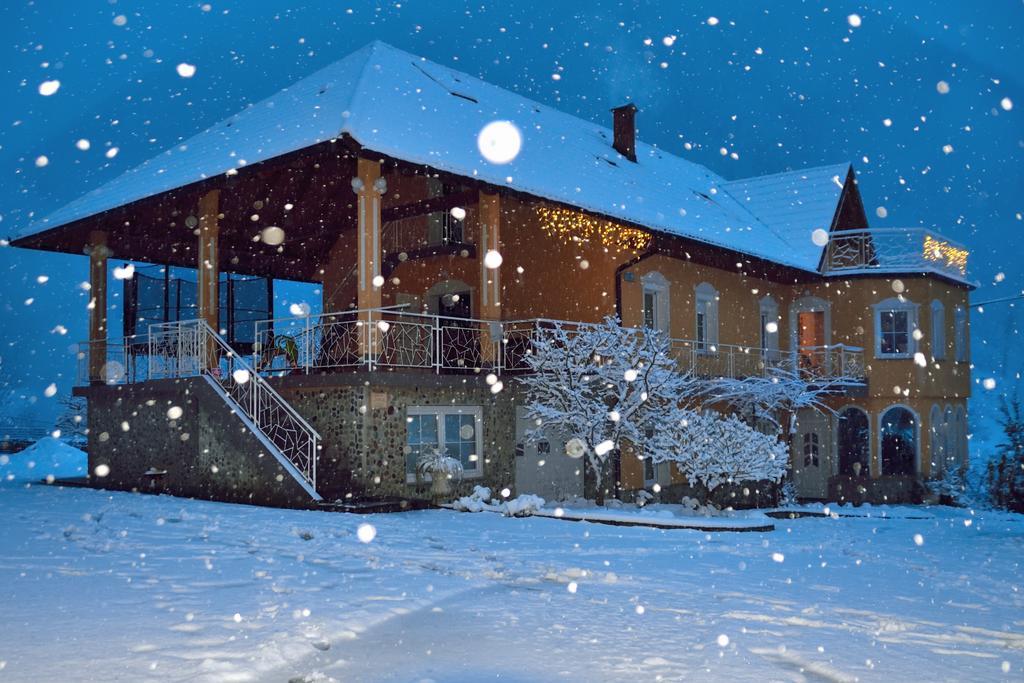 Apartment Sotocje Dolenja Trebusa Екстериор снимка
